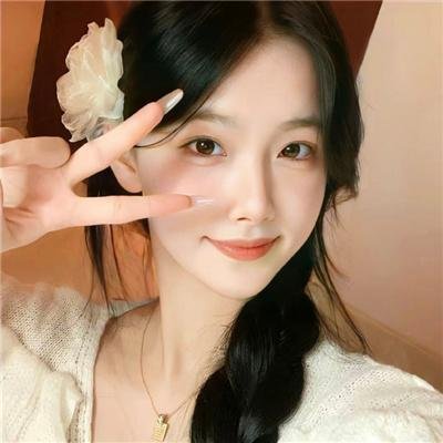 狮子军龙虎鬪 海报